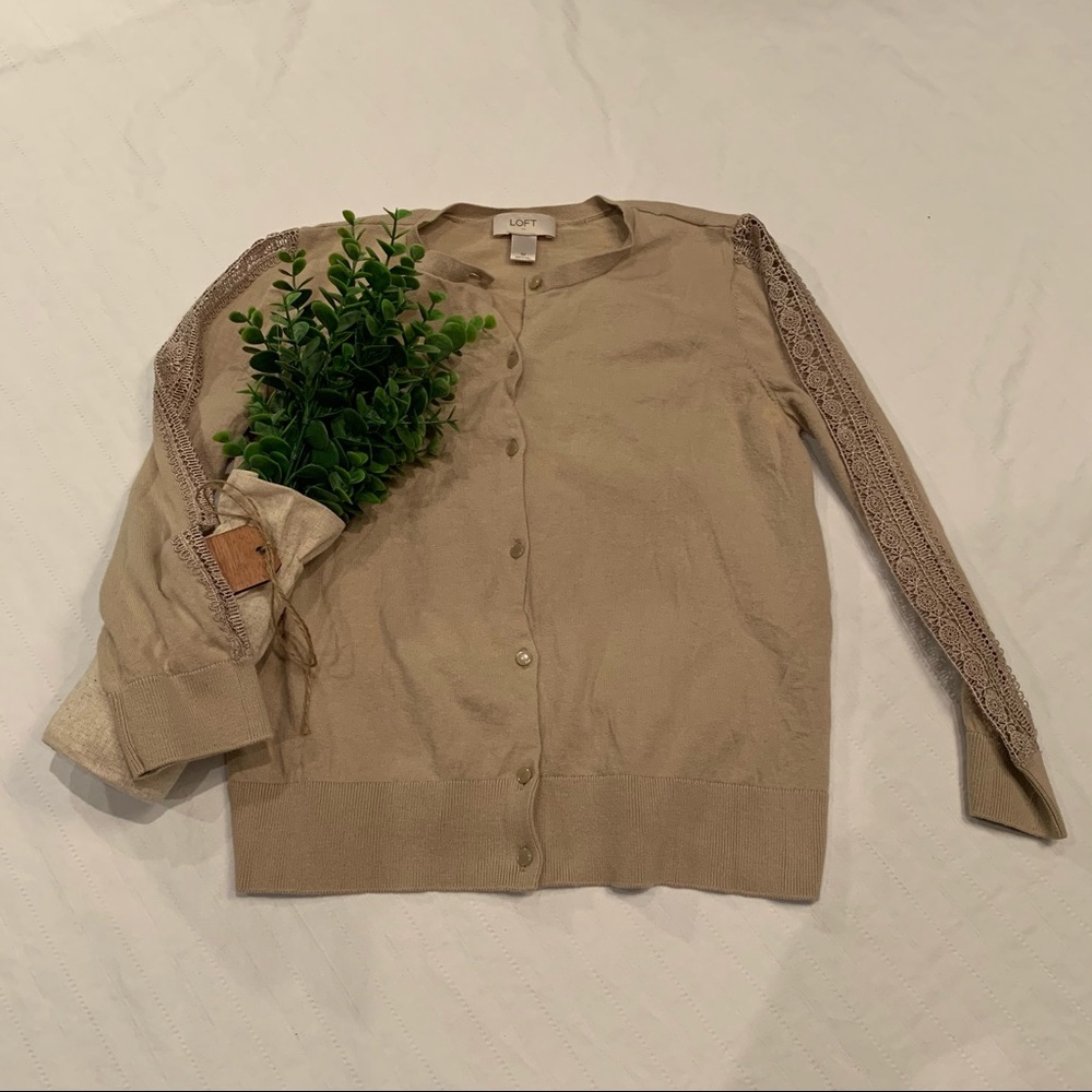 Ann Taylor LOFT cardigan